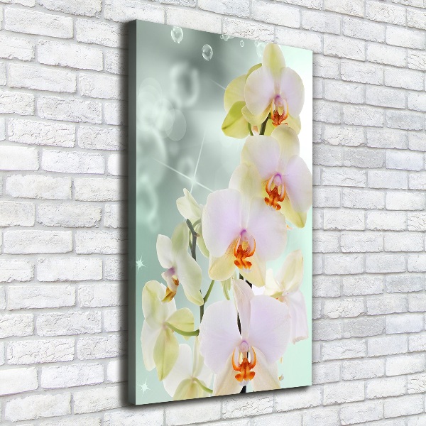 Verticaal canvasschilderij Orchidee