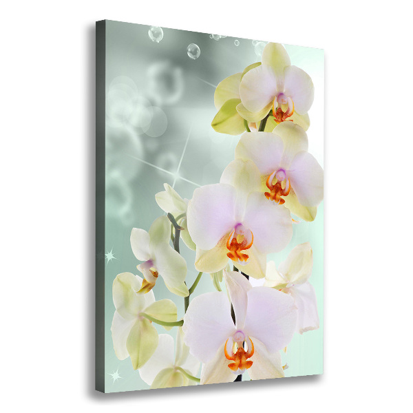 Verticaal canvasschilderij Orchidee