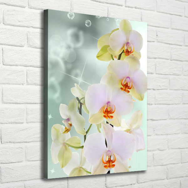 Verticaal canvasschilderij Orchidee