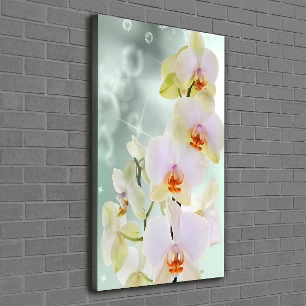 Verticaal canvasschilderij Orchidee