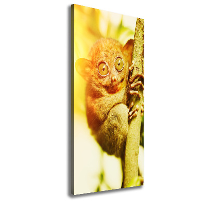 Verticale foto op canvas Spooktarsier