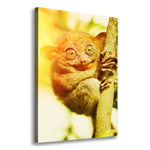 Verticale foto op canvas Spooktarsier