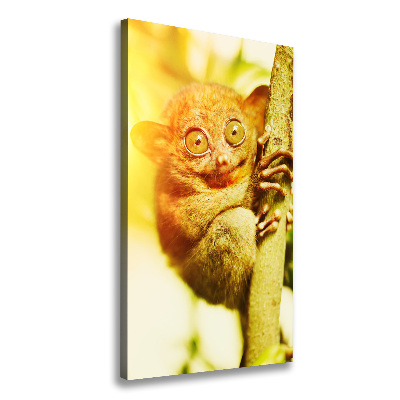 Verticale foto op canvas Spooktarsier