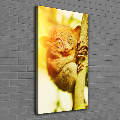 Verticale foto op canvas Spooktarsier