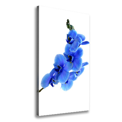 Verticaal schilderij op canvas Blauwe orchidee