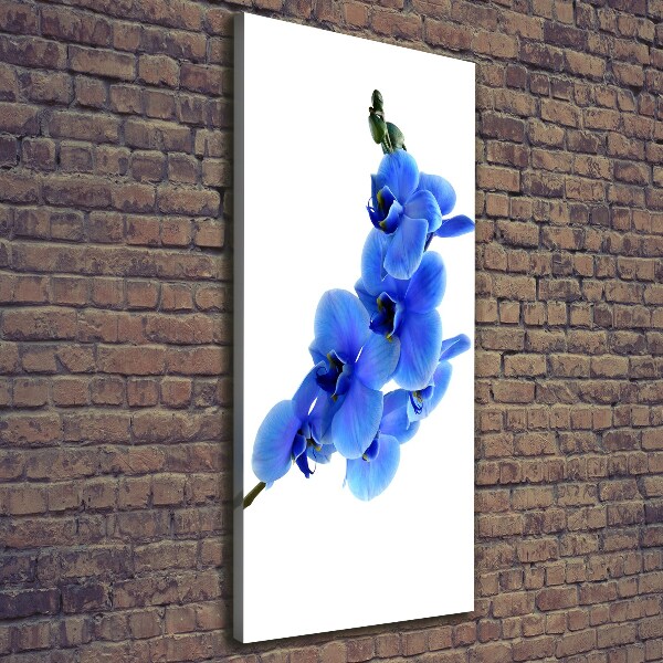 Verticaal schilderij op canvas Blauwe orchidee