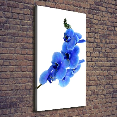Verticaal schilderij op canvas Blauwe orchidee