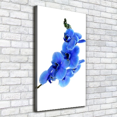Verticaal schilderij op canvas Blauwe orchidee