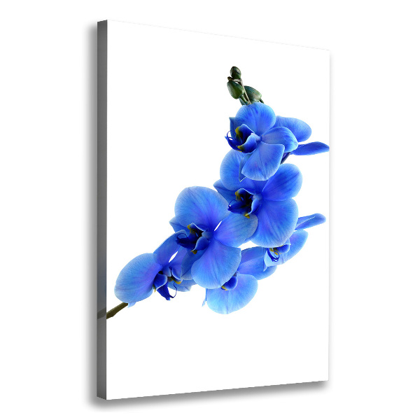 Verticaal schilderij op canvas Blauwe orchidee