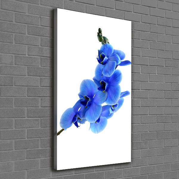 Verticaal schilderij op canvas Blauwe orchidee