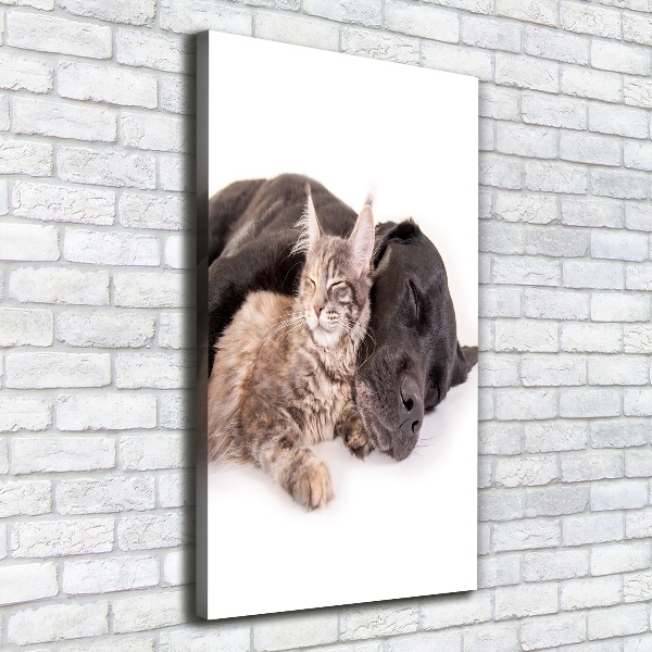Verticaal schilderij op canvas Hond en kat