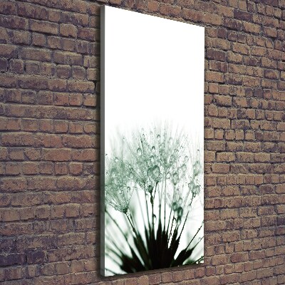 Verticale foto op canvas Paardenbloemzaden