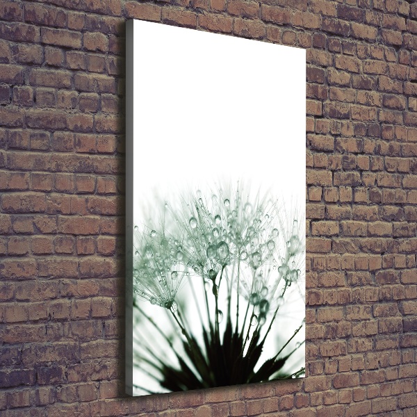 Verticale foto op canvas Paardenbloemzaden