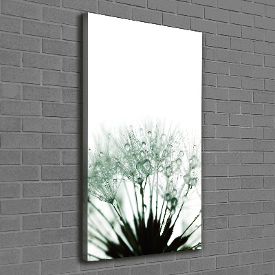 Verticale foto op canvas Paardenbloemzaden