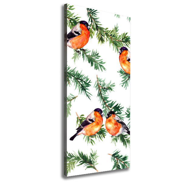 Verticale foto op canvas Roodborstje en naaldbomen