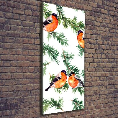 Verticale foto op canvas Roodborstje en naaldbomen