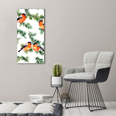 Verticale foto op canvas Roodborstje en naaldbomen