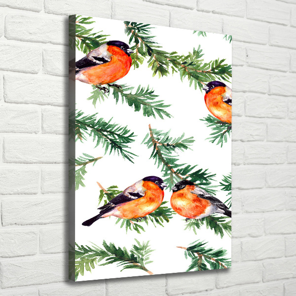 Verticale foto op canvas Roodborstje en naaldbomen