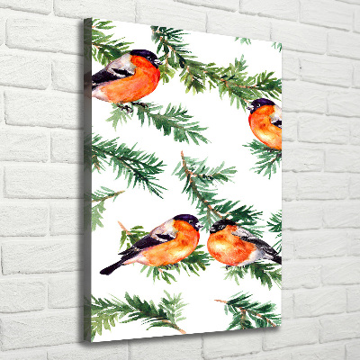 Verticale foto op canvas Roodborstje en naaldbomen