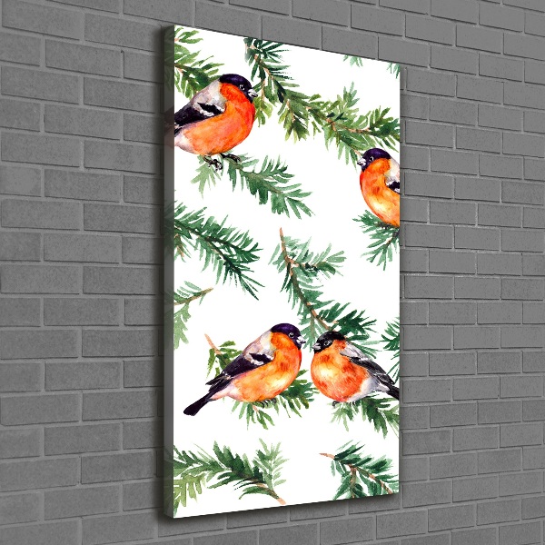 Verticale foto op canvas Roodborstje en naaldbomen