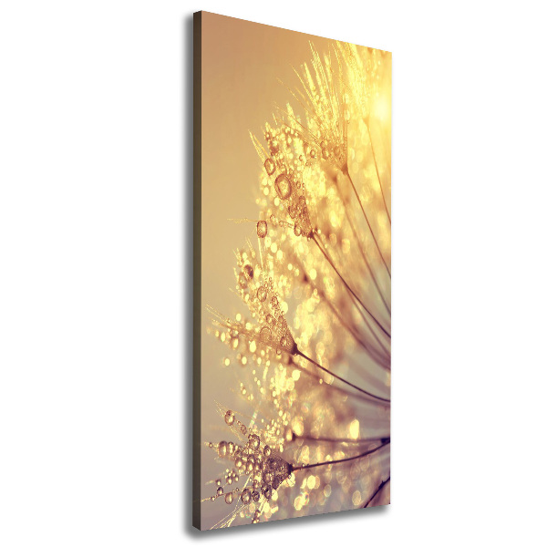 Verticale canvasfoto Paardenbloemzaden