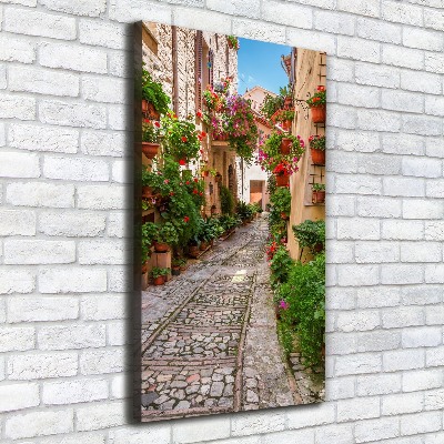 Verticale foto op canvas Umbrië, Italië
