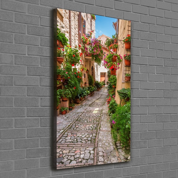 Verticale foto op canvas Umbrië, Italië