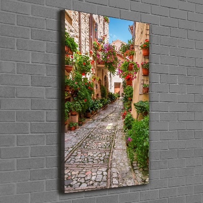 Verticale foto op canvas Umbrië, Italië