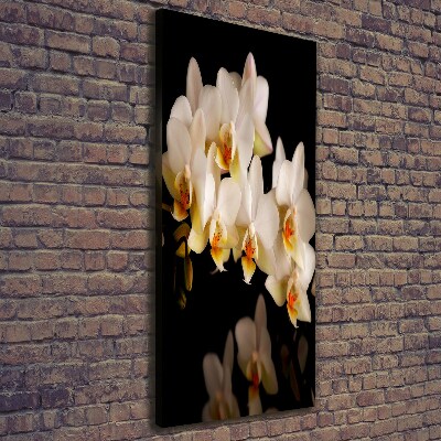 Verticale foto op canvas Orchidee