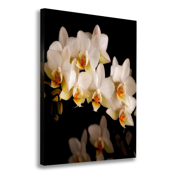 Verticale foto op canvas Orchidee