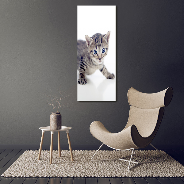 Verticale foto op canvas Kleine kat