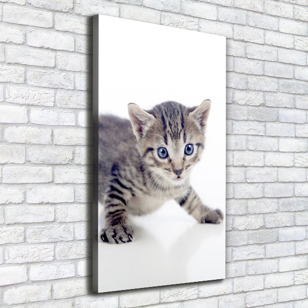 Verticale foto op canvas Kleine kat