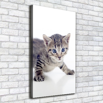 Verticale foto op canvas Kleine kat