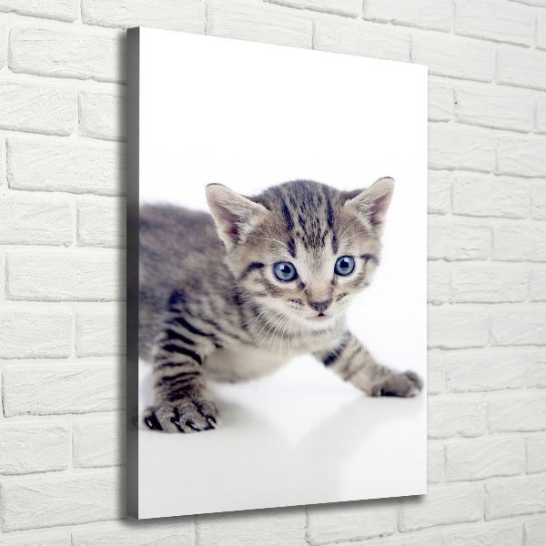 Verticale foto op canvas Kleine kat