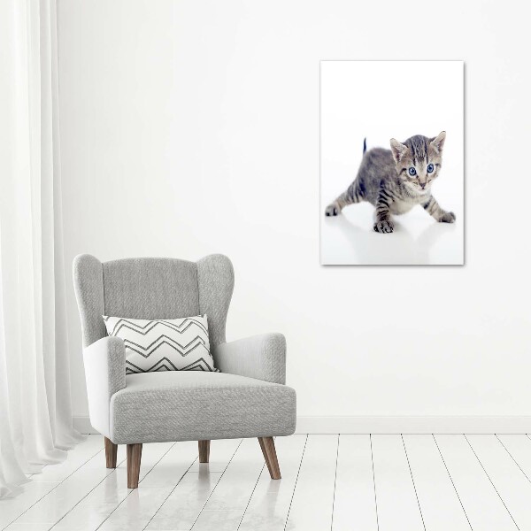 Verticale foto op canvas Kleine kat
