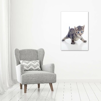 Verticale foto op canvas Kleine kat