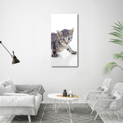 Verticale foto op canvas Kleine kat