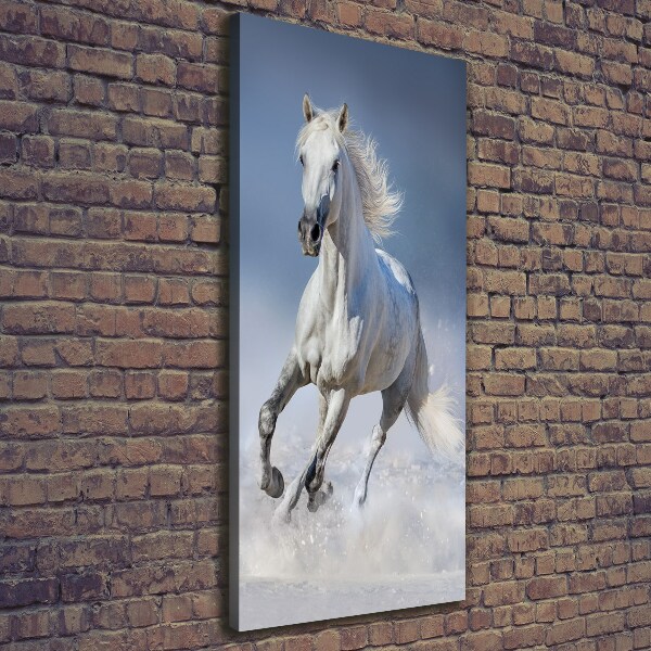 Verticale canvasfoto Een wit paard in galop