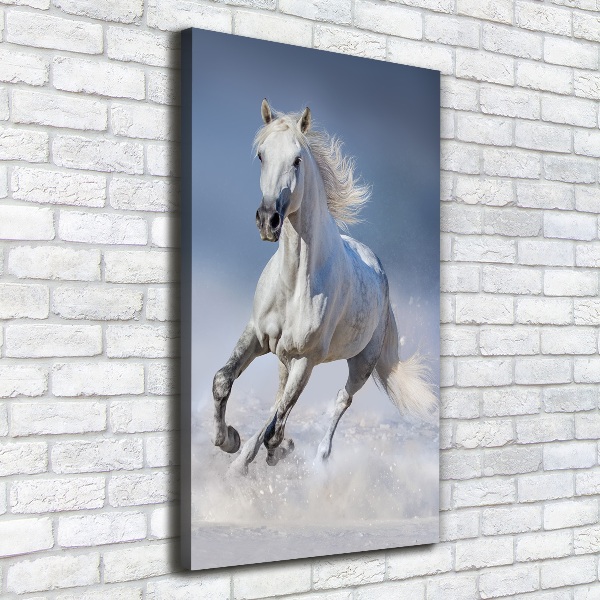 Verticale canvasfoto Een wit paard in galop