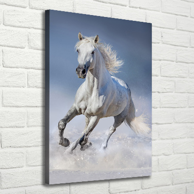 Verticale canvasfoto Een wit paard in galop