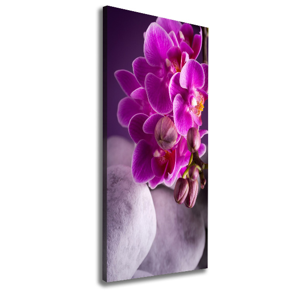 Verticale canvasfoto Roze orchidee