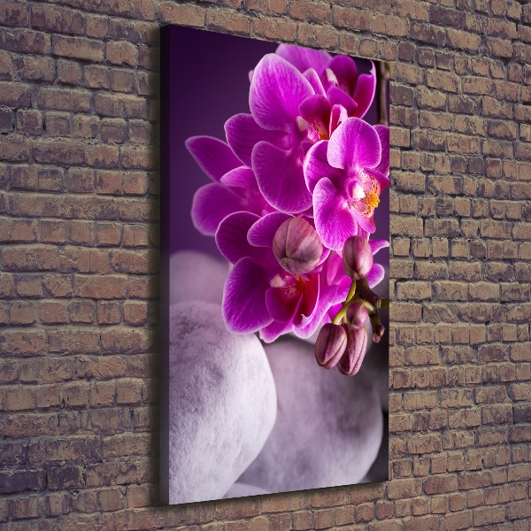 Verticale canvasfoto Roze orchidee