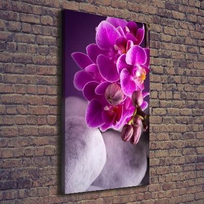 Verticale canvasfoto Roze orchidee
