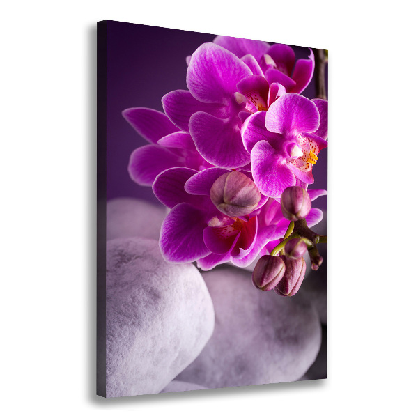Verticale canvasfoto Roze orchidee