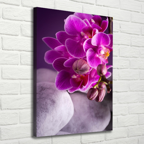 Verticale canvasfoto Roze orchidee