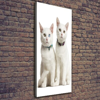 Verticale foto op canvas Twee witte katten