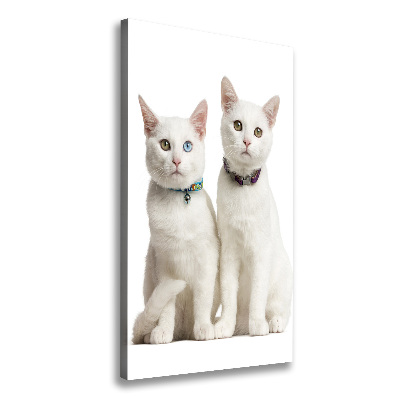 Verticale foto op canvas Twee witte katten