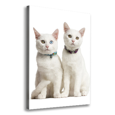 Verticale foto op canvas Twee witte katten