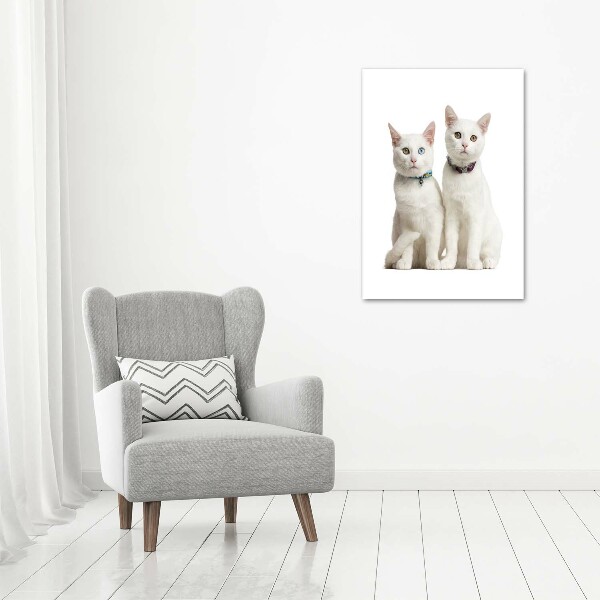 Verticale foto op canvas Twee witte katten
