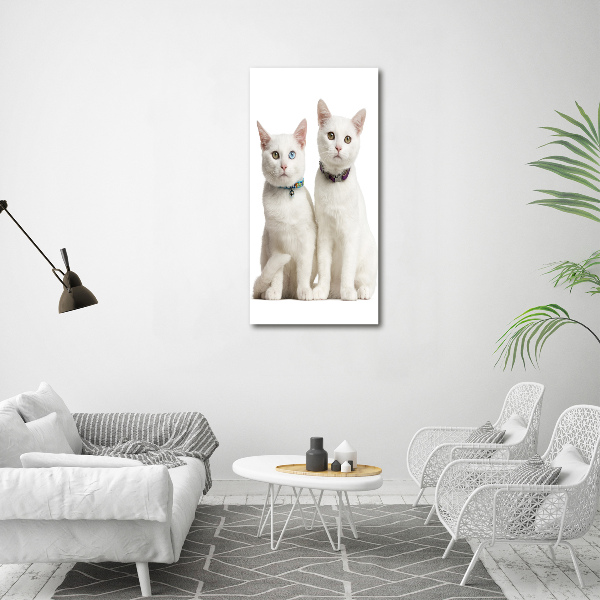 Verticale foto op canvas Twee witte katten